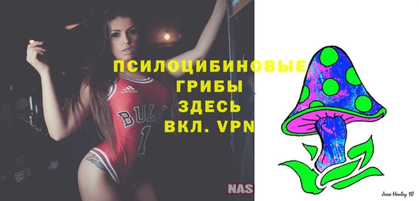 синтетический гашиш Белокуриха