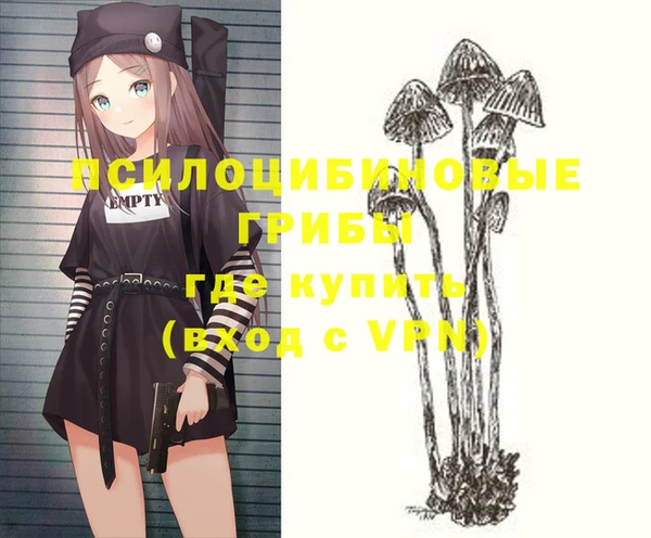 синтетический гашиш Белокуриха